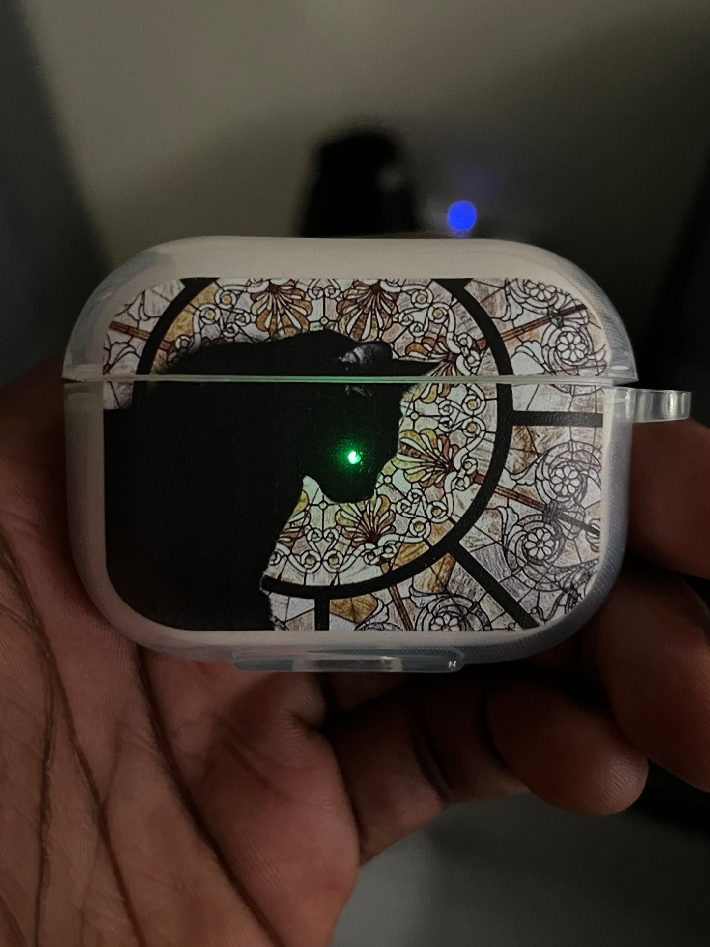 Cathedral Cat AirPods Case