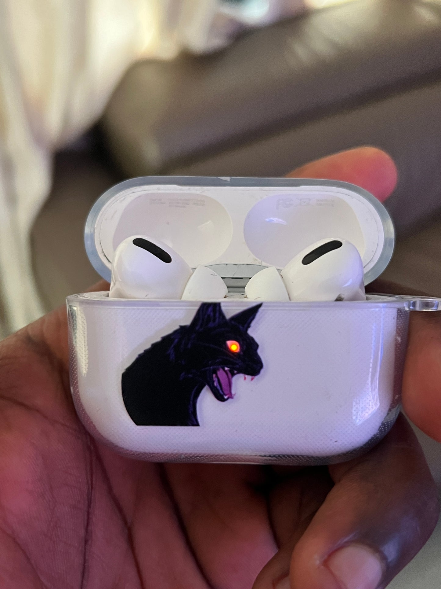 Onyx Cat AirPods Case